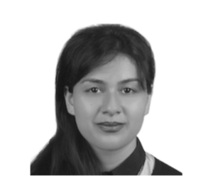 Webinar hosting presenter 