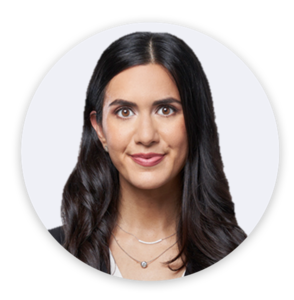 Webinar hosting presenter 