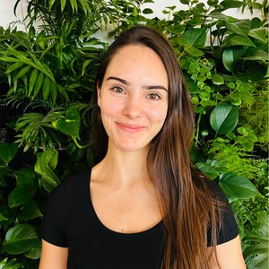 Webinar hosting presenter 