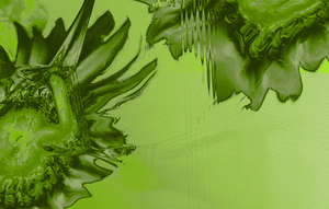 Webinar hosting presenter 