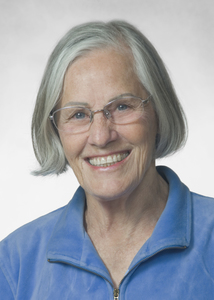 Webinar hosting presenter 