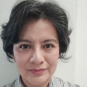 Webinar hosting presenter 