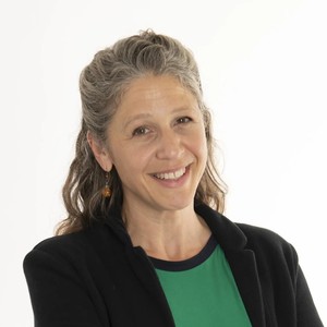 Webinar hosting presenter 