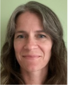 Webinar hosting presenter 