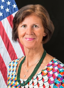 Webinar hosting presenter 