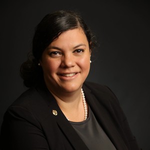 Webinar hosting presenter 