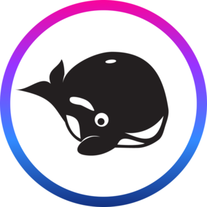 Webinar hosting presenter HeyOrca Orca