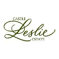 Webinar hosting presenter 