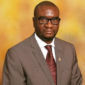 Webinar hosting presenter 