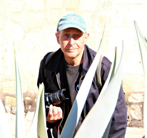 Webinar hosting presenter 