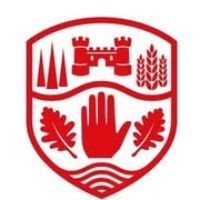 Webinar hosting presenter 