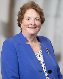 Webinar hosting presenter 