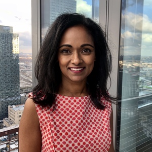 Webinar hosting presenter 