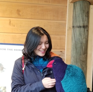 Webinar hosting presenter 