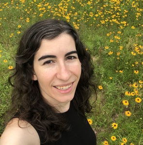 Webinar hosting presenter 