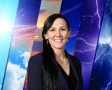 Webinar hosting presenter 