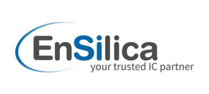 Webinar hosting presenter 