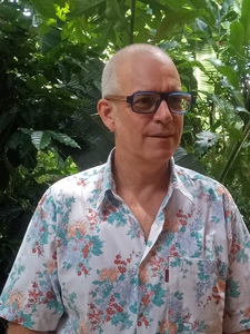 Webinar hosting presenter 