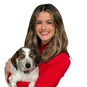 Webinar hosting presenter 