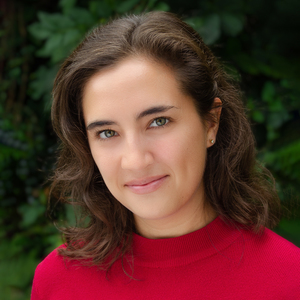 Webinar hosting presenter 