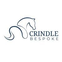 Webinar hosting presenter 