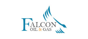 Webinar hosting presenter 