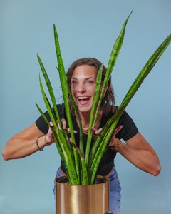 1770910514-f8997e81625f1236