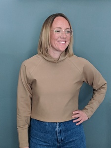 Webinar hosting presenter 