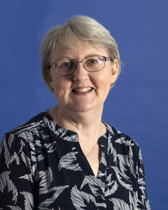 Webinar hosting presenter 