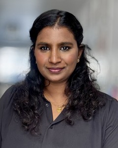 Webinar hosting presenter 