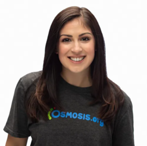 Webinar hosting presenter 