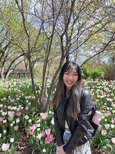 Webinar hosting presenter 