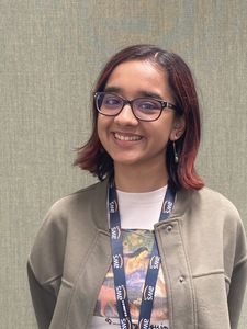 Webinar hosting presenter 