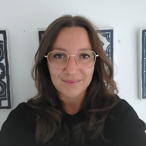 Webinar hosting presenter 