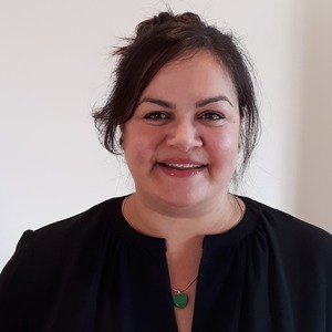 Webinar hosting presenter 