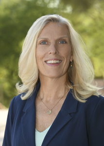 Webinar hosting presenter 