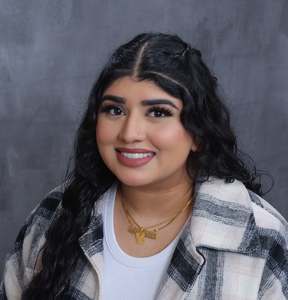 Webinar hosting presenter 