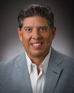 Webinar hosting presenter 