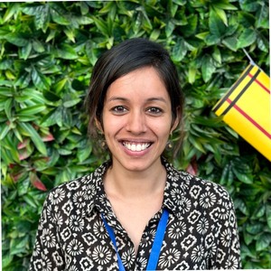 Webinar hosting presenter 