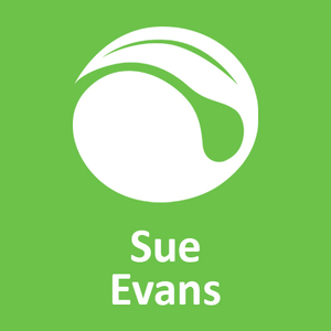 Webinar hosting presenter 