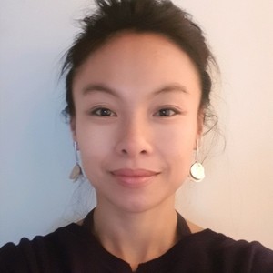 Webinar hosting presenter 