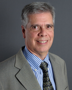 Webinar hosting presenter 