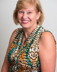 Webinar hosting presenter 