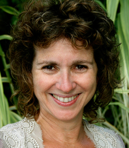 Webinar hosting presenter 