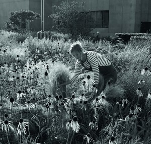 1612952217-213101636cbdce48