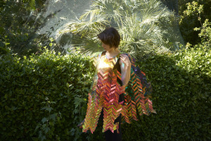 Webinar hosting presenter 