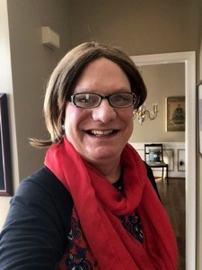 Webinar hosting presenter 