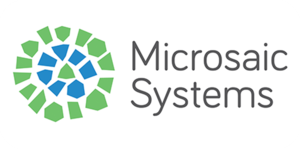 Webinar hosting presenter 