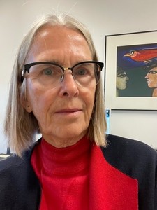 Webinar hosting presenter 