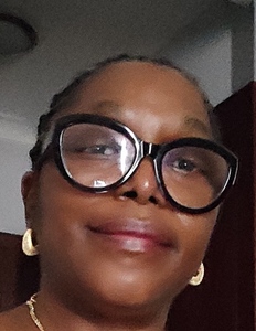 Webinar hosting presenter 